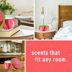 Febreze Scented Candle, Sweet Watermelon Vine Scent, 11 oz 4 Wick Candle, Single Pack
